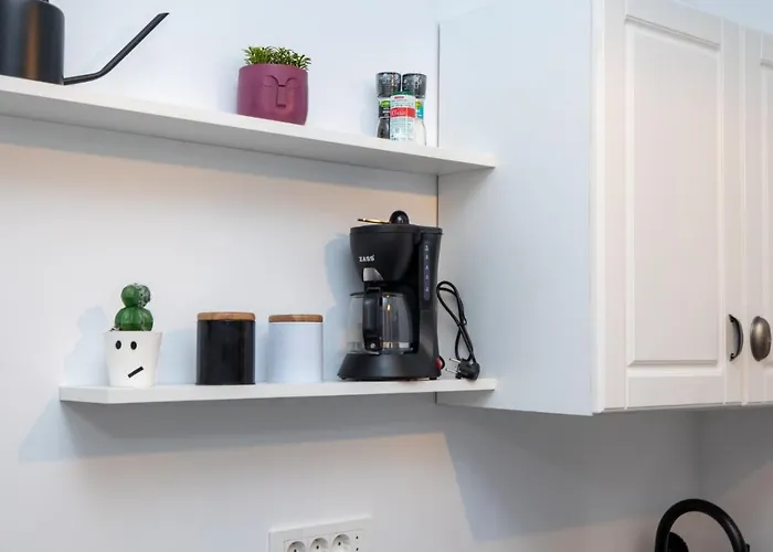 The Bear's Den In Old Centre Apartment *